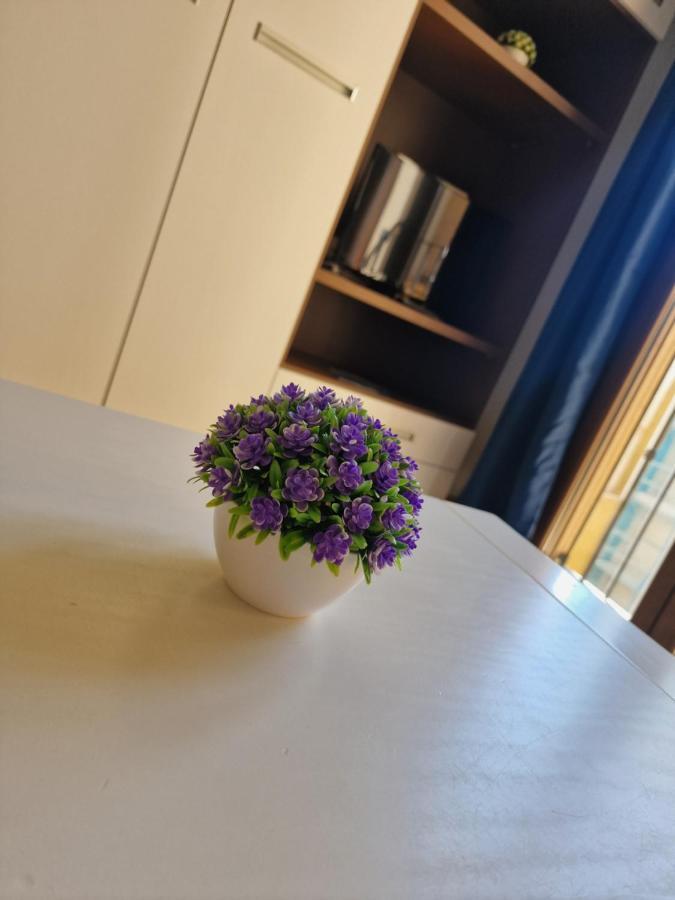 Apartmán Estudio En Centro De Alicante Exteriér fotografie